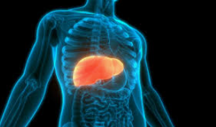 Screenshot 2025-07-21 093433.png